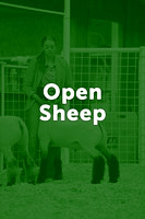 Open Sheep Hotshots
